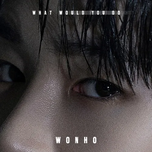 دانلود آهنگ What Would You Do وونهو (WONHO)